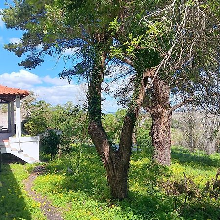 Vila Quintinha A 35Min De Lisboa Mafra Exteriér fotografie