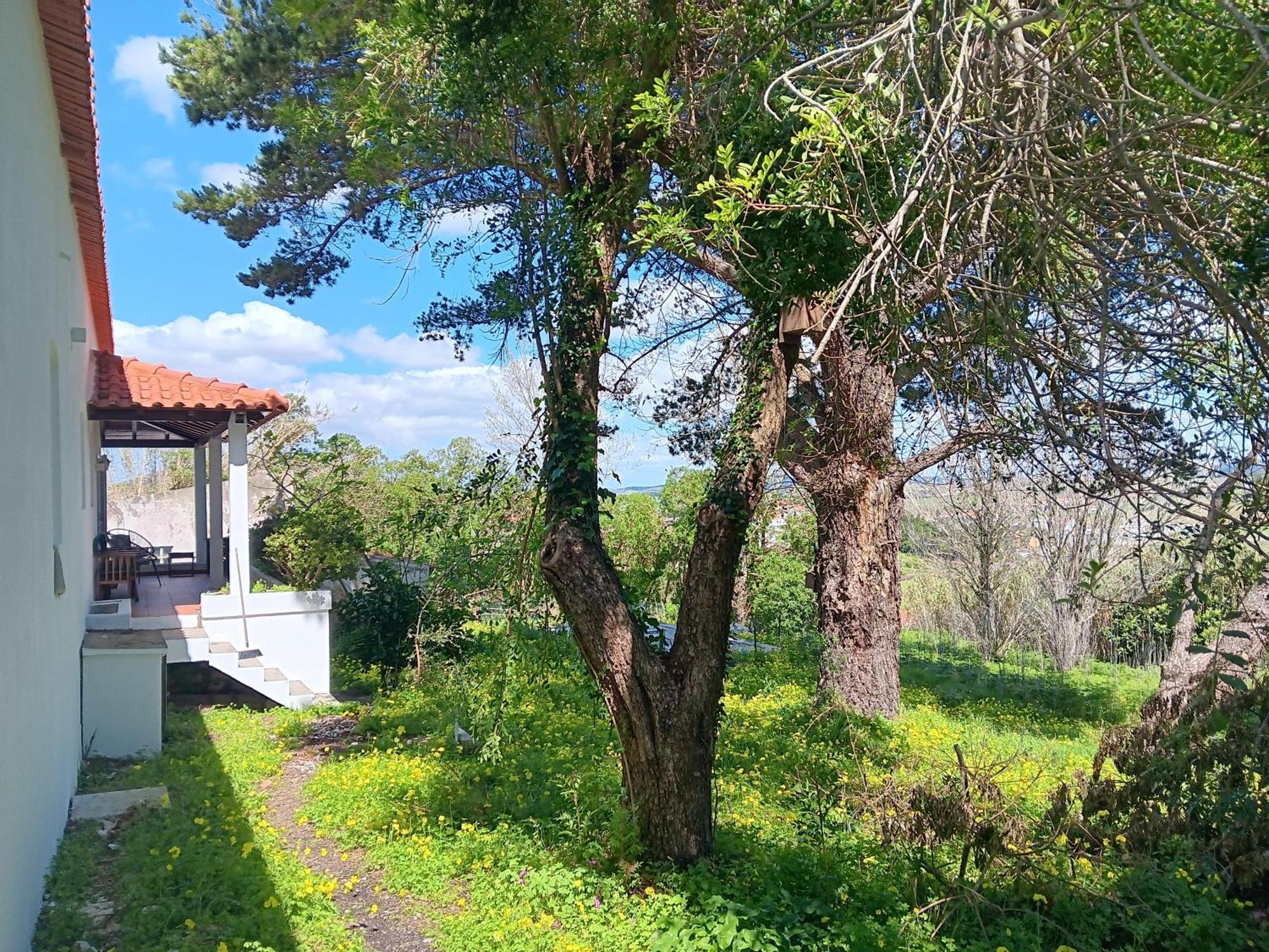 Vila Quintinha A 35Min De Lisboa Mafra Exteriér fotografie